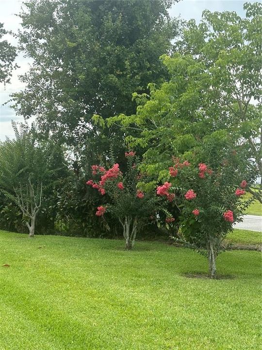 For Sale: $395,000 (3 beds, 2 baths, 2031 Square Feet)