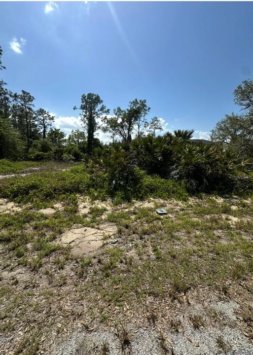 На продажу: $60,000 (0.27 acres)