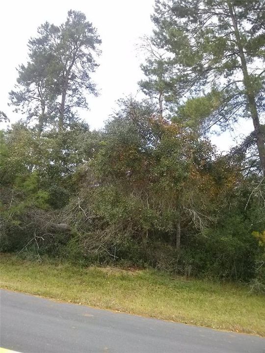 待售: $185,000 (0.69 acres)