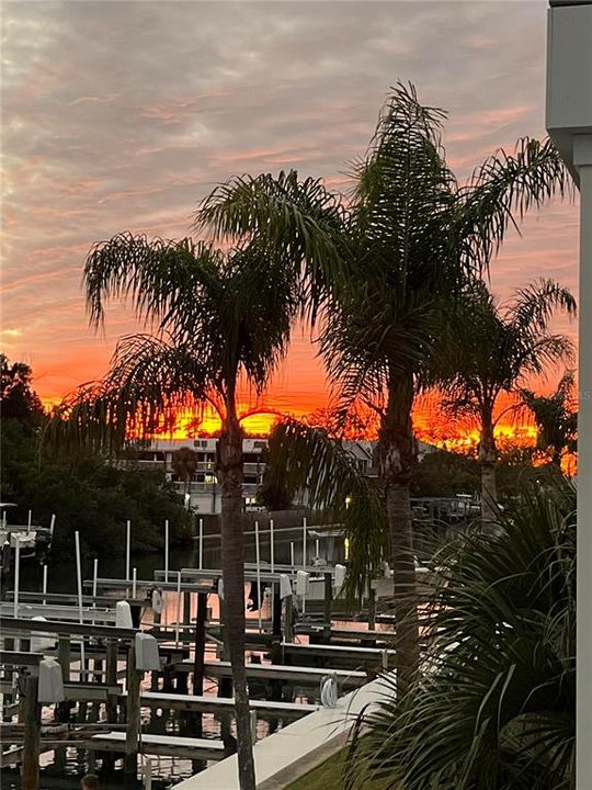 На продажу: $599,000 (3 спален, 2 ванн, 1566 Квадратных фут)