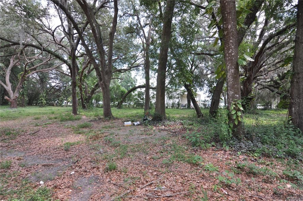 На продажу: $150,000 (1.46 acres)