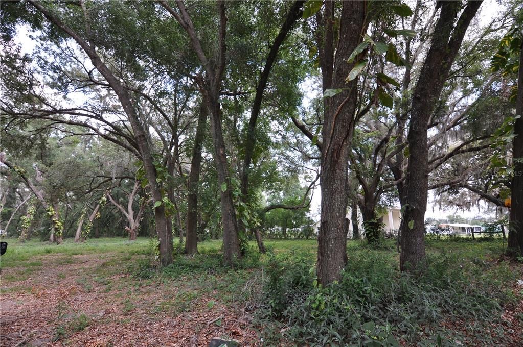 На продажу: $150,000 (1.46 acres)