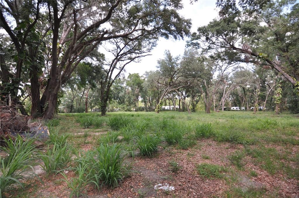 На продажу: $150,000 (1.46 acres)