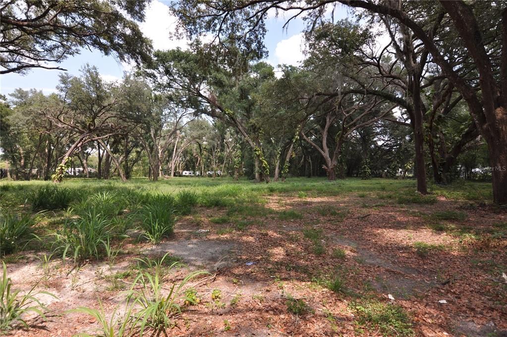 На продажу: $150,000 (1.46 acres)