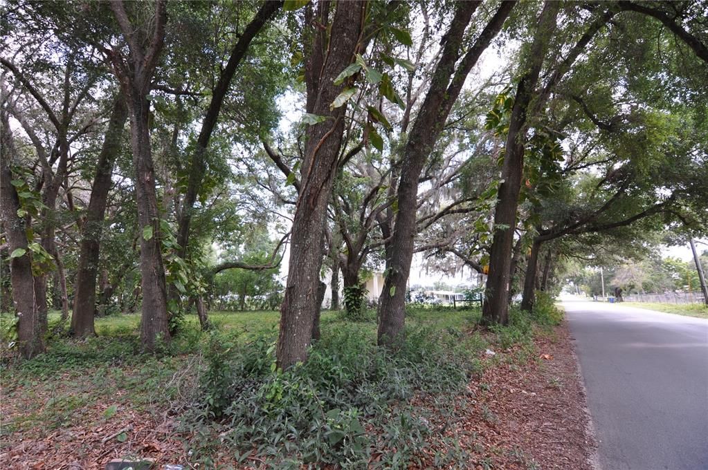 На продажу: $150,000 (1.46 acres)