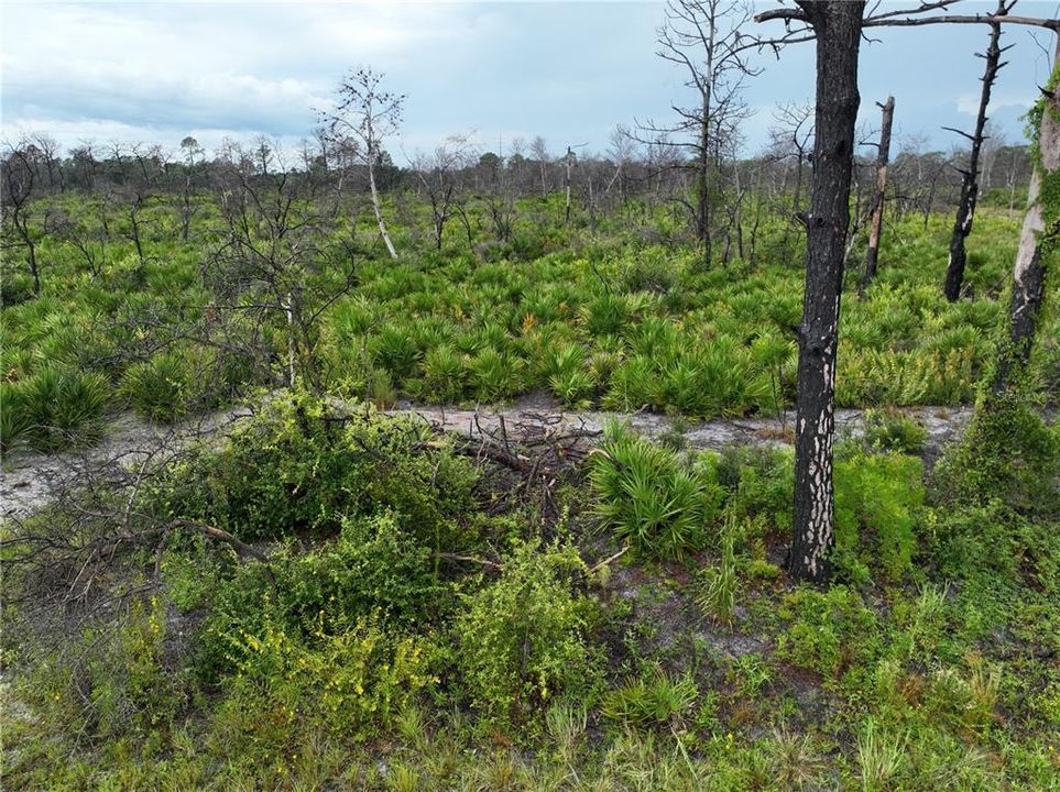 待售: $20,500 (0.29 acres)