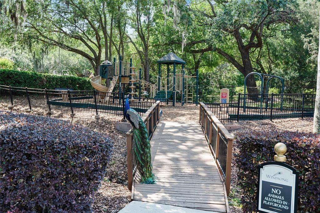 En Venta: $8,500,000 (5 camas, 6 baños, 6502 Pies cuadrados)