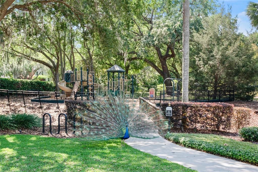 En Venta: $8,500,000 (5 camas, 6 baños, 6502 Pies cuadrados)