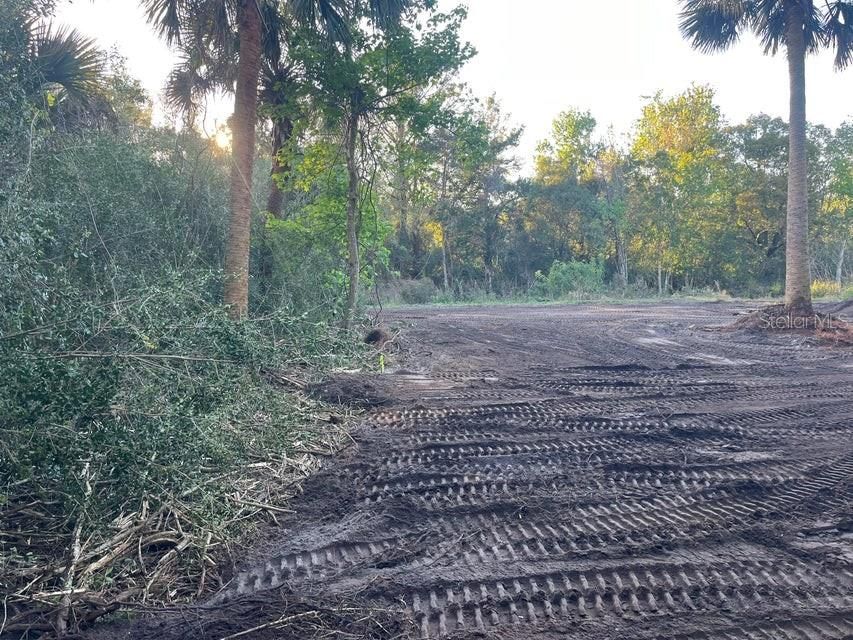 For Sale: $229,900 (4.00 acres)