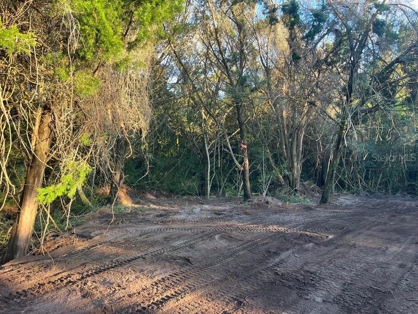 For Sale: $229,900 (4.00 acres)