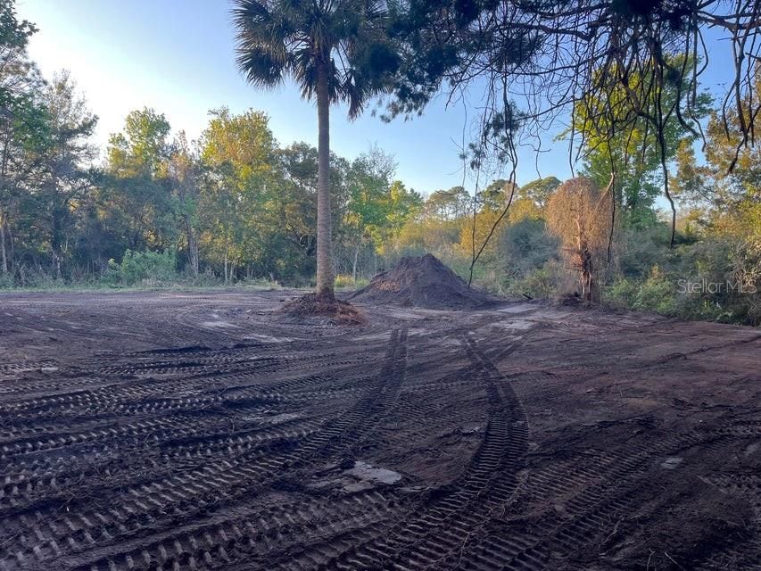 For Sale: $229,900 (4.00 acres)