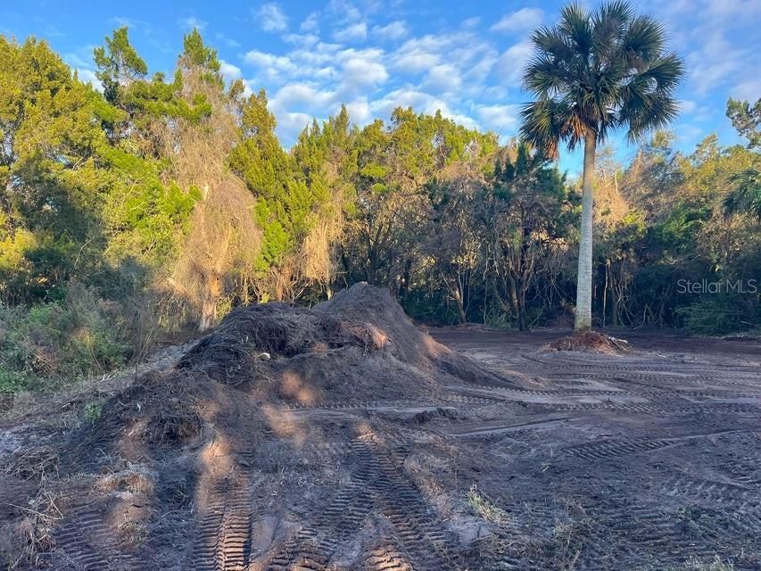 For Sale: $229,900 (4.00 acres)