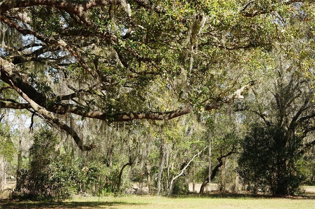 For Sale: $2,350,000 (25.32 acres)