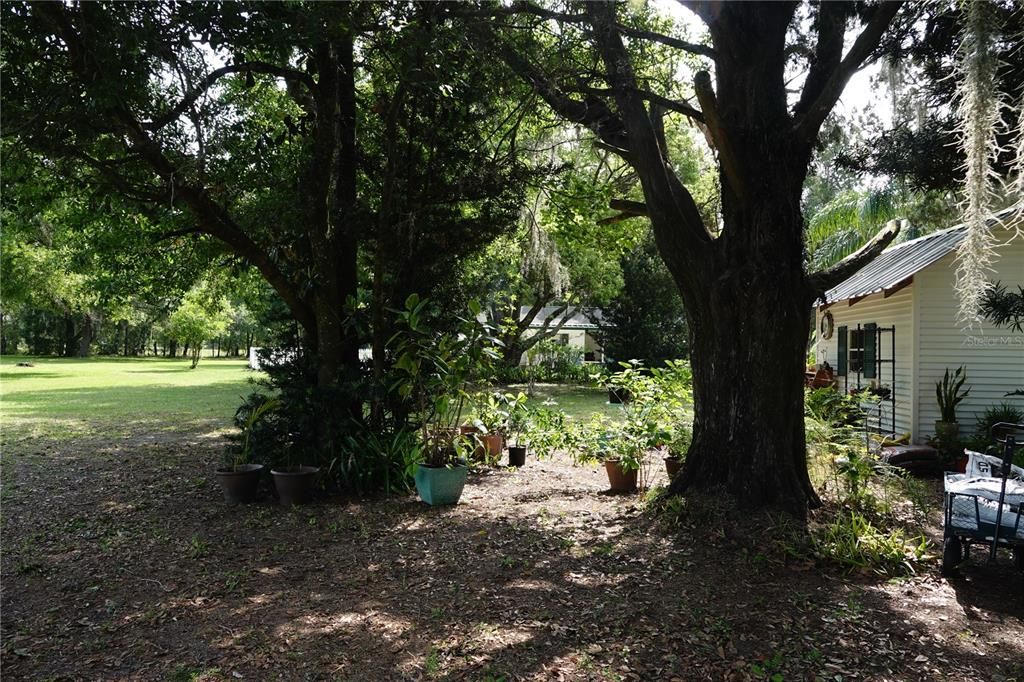 For Sale: $2,350,000 (25.32 acres)
