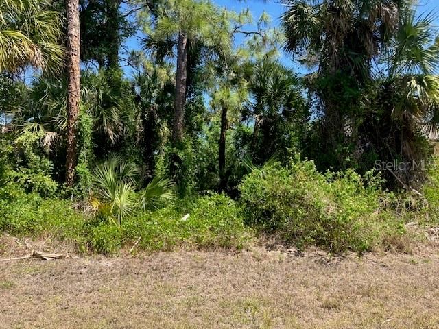 待售: $35,950 (0.27 acres)