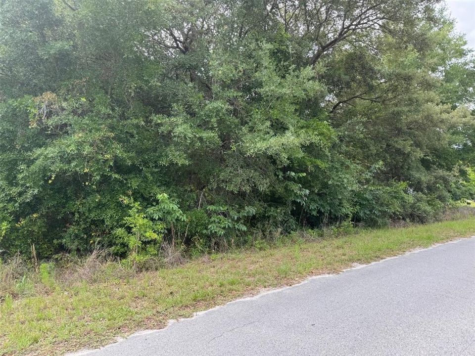 Activo con contrato: $39,000 (0.39 acres)