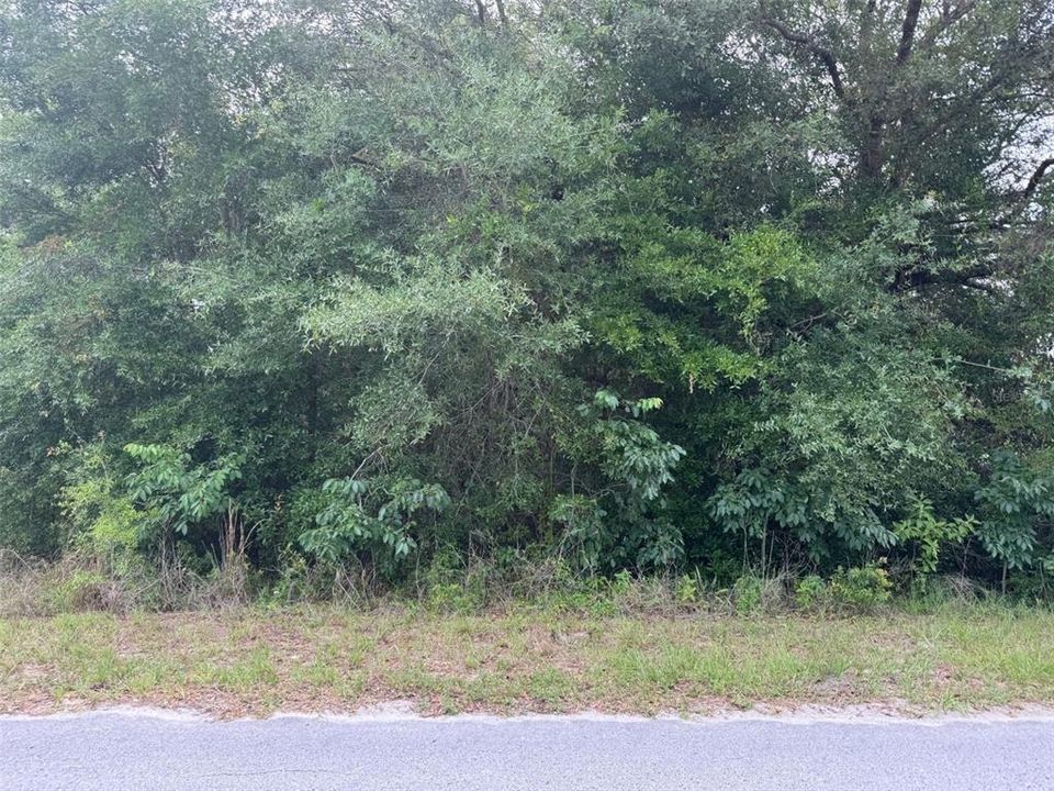 Activo con contrato: $39,000 (0.39 acres)