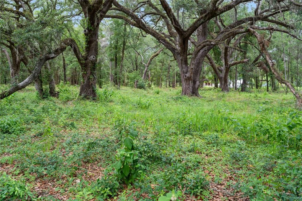 For Sale: $239,000 (2 beds, 1 baths, 960 Square Feet)