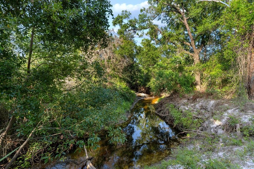 待售: $3,000,000 (0 贝兹, 0 浴室, 6250 平方英尺)