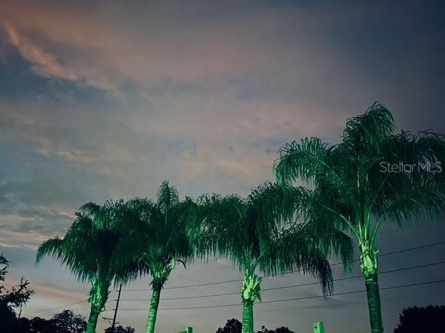 待售: $3,000,000 (0 贝兹, 0 浴室, 6250 平方英尺)