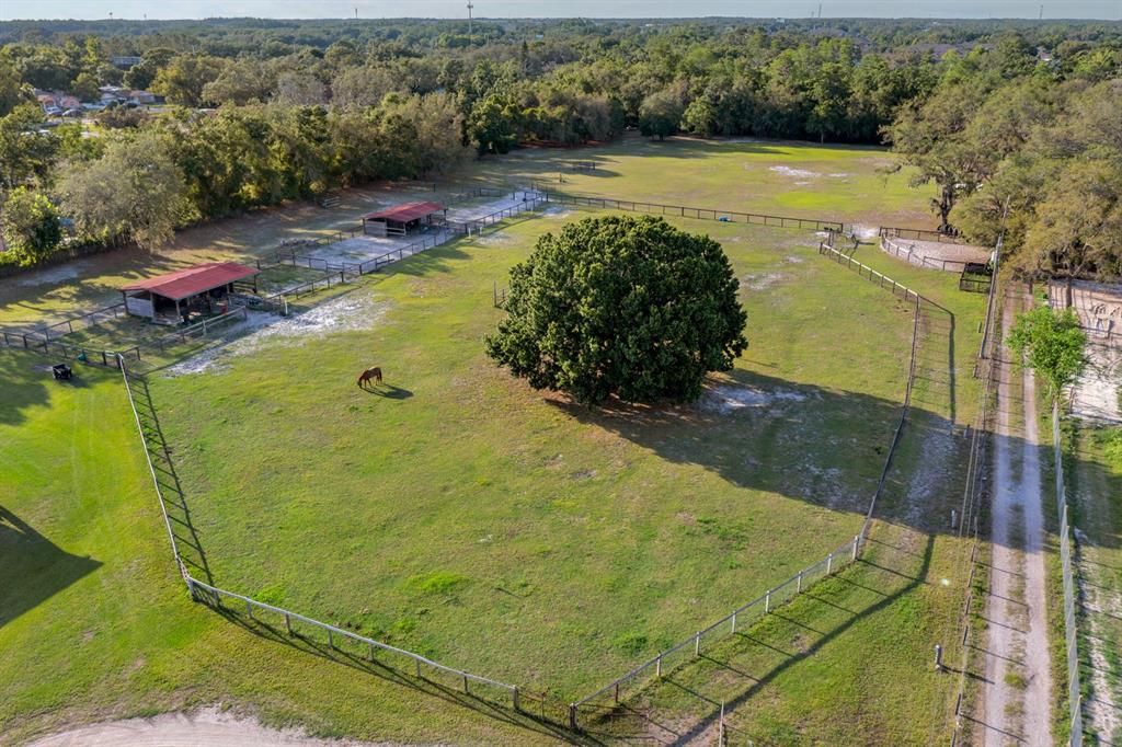 待售: $3,000,000 (0 贝兹, 0 浴室, 6250 平方英尺)