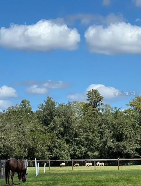 待售: $3,000,000 (0 贝兹, 0 浴室, 6250 平方英尺)