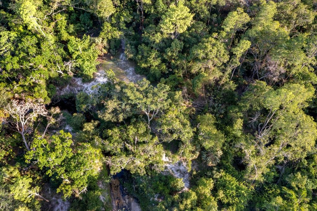 待售: $3,000,000 (0 贝兹, 0 浴室, 6250 平方英尺)