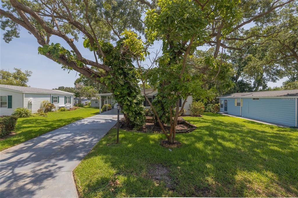 合同活跃: $225,000 (2 贝兹, 2 浴室, 1080 平方英尺)