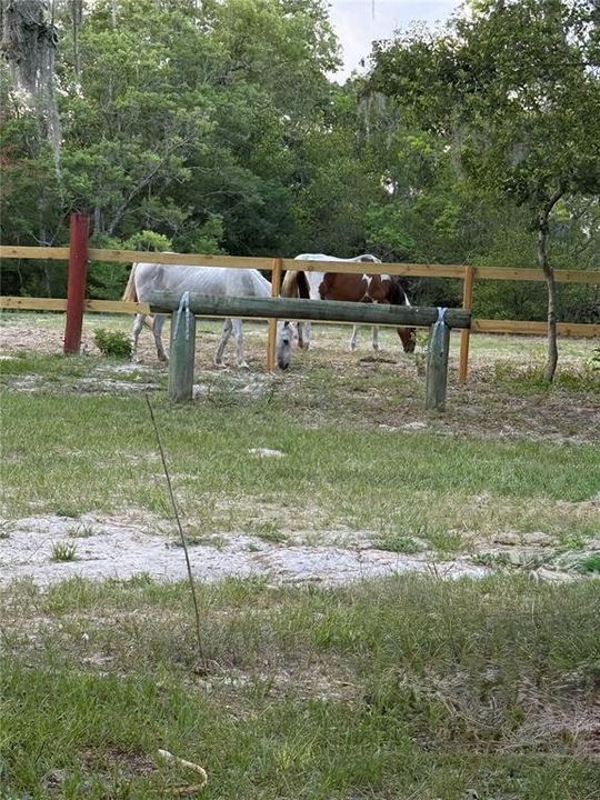 Activo con contrato: $569,900 (3 camas, 3 baños, 2912 Pies cuadrados)