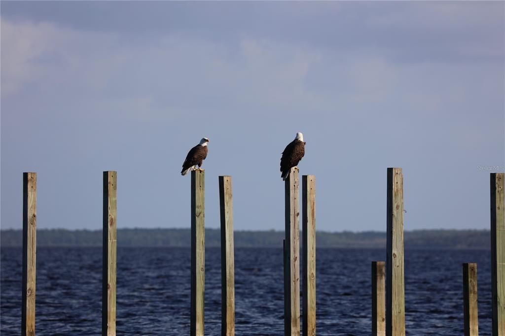 На продажу: $698,750 (3 спален, 3 ванн, 2247 Квадратных фут)