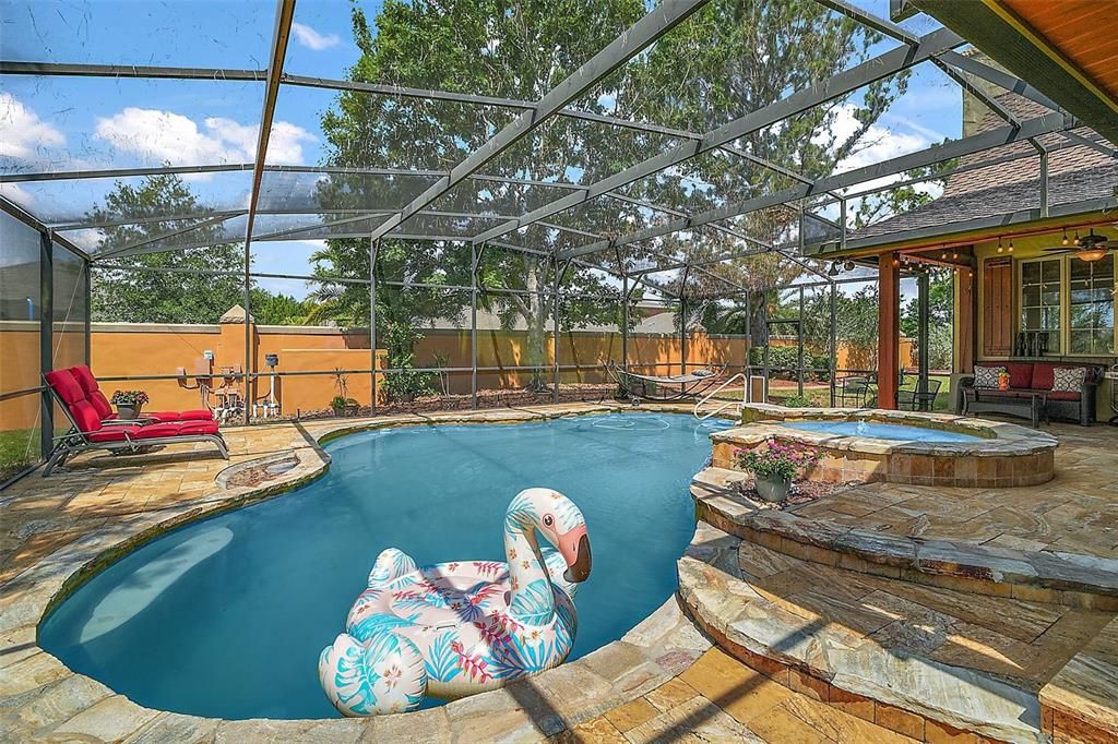 plenty of gorgeous stone deck area under screen enclosure-plenty of room for family time and entertaining