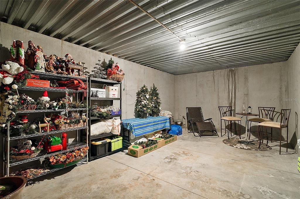 basement currently being used as storage but let your imagination run free: wine cellar, safe room, man cave, bonus room, billiard room...