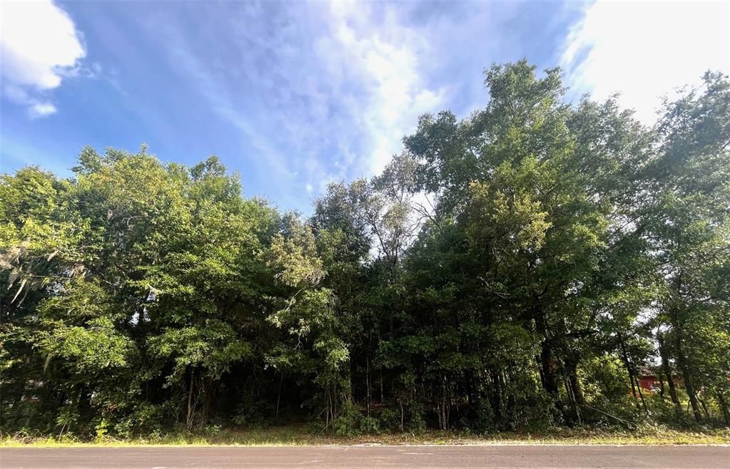 Недавно продано: $70,000 (1.26 acres)