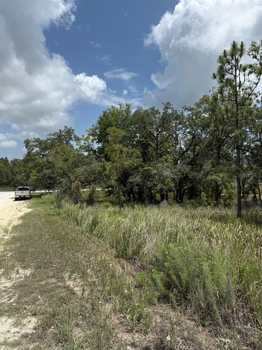 На продажу: $25,900 (0.49 acres)