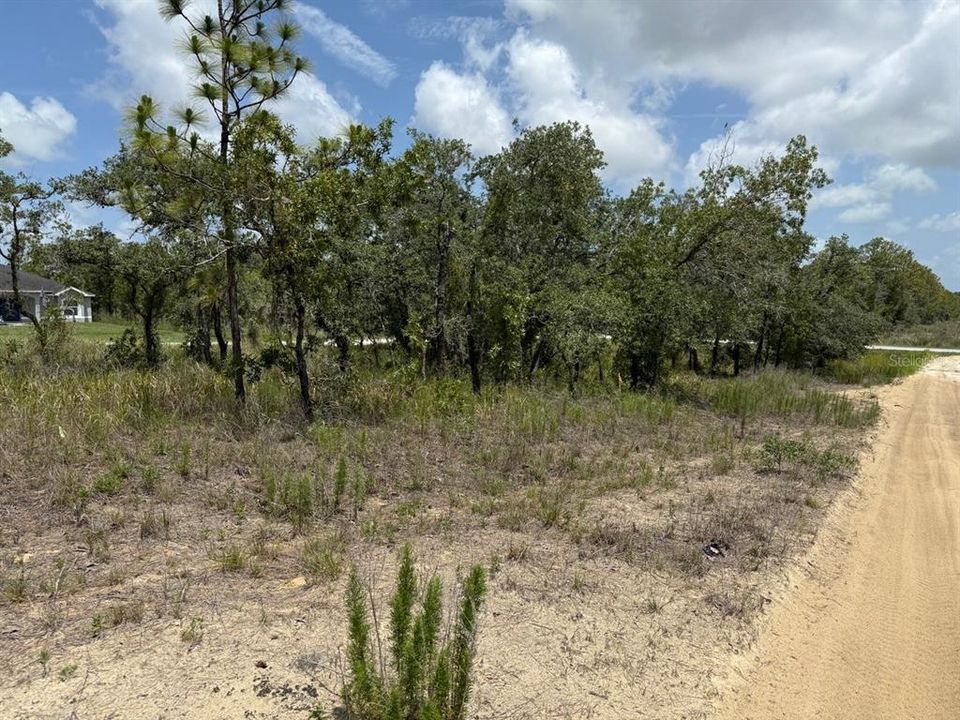 На продажу: $25,900 (0.49 acres)