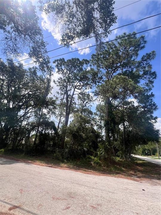 For Sale: $35,000 (0.26 acres)