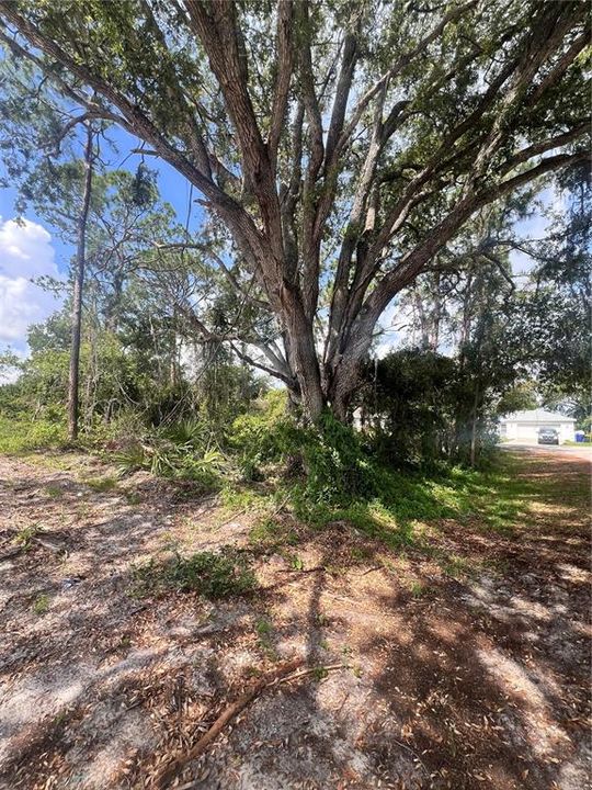 For Sale: $35,000 (0.26 acres)