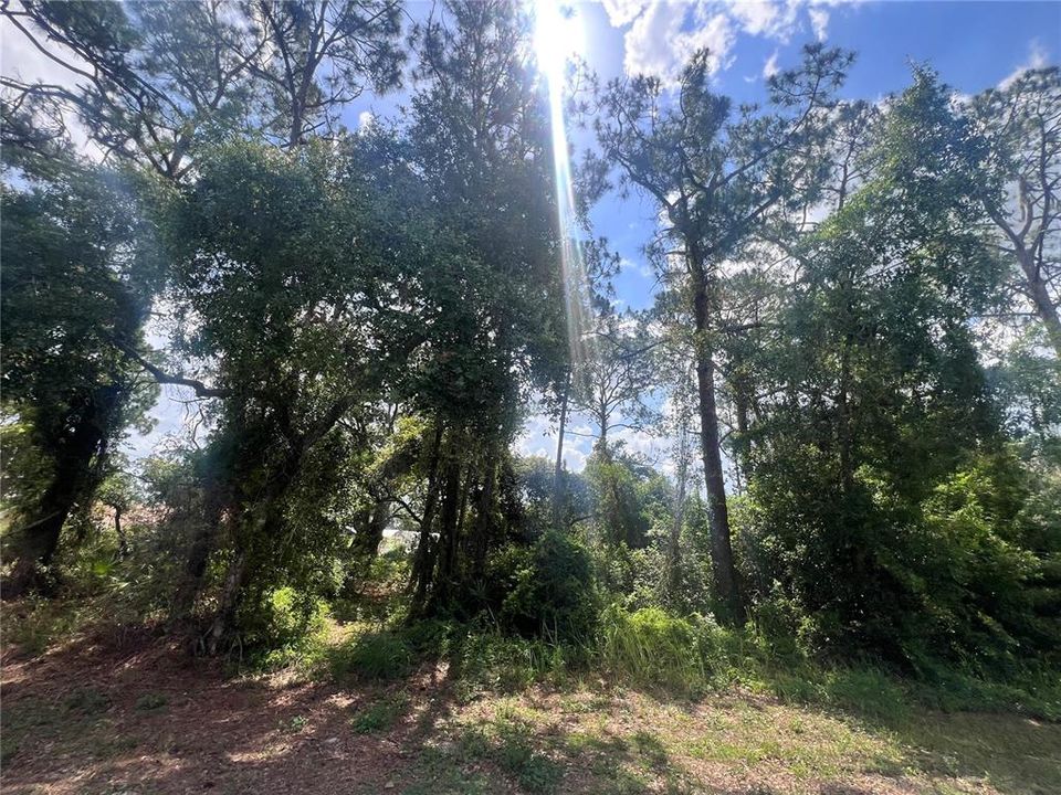 For Sale: $35,000 (0.26 acres)