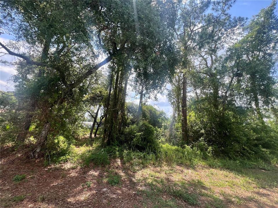 For Sale: $35,000 (0.26 acres)