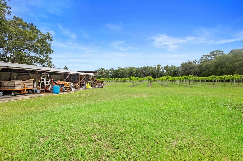 For Sale: $1,300,000 (4 beds, 4 baths, 3017 Square Feet)