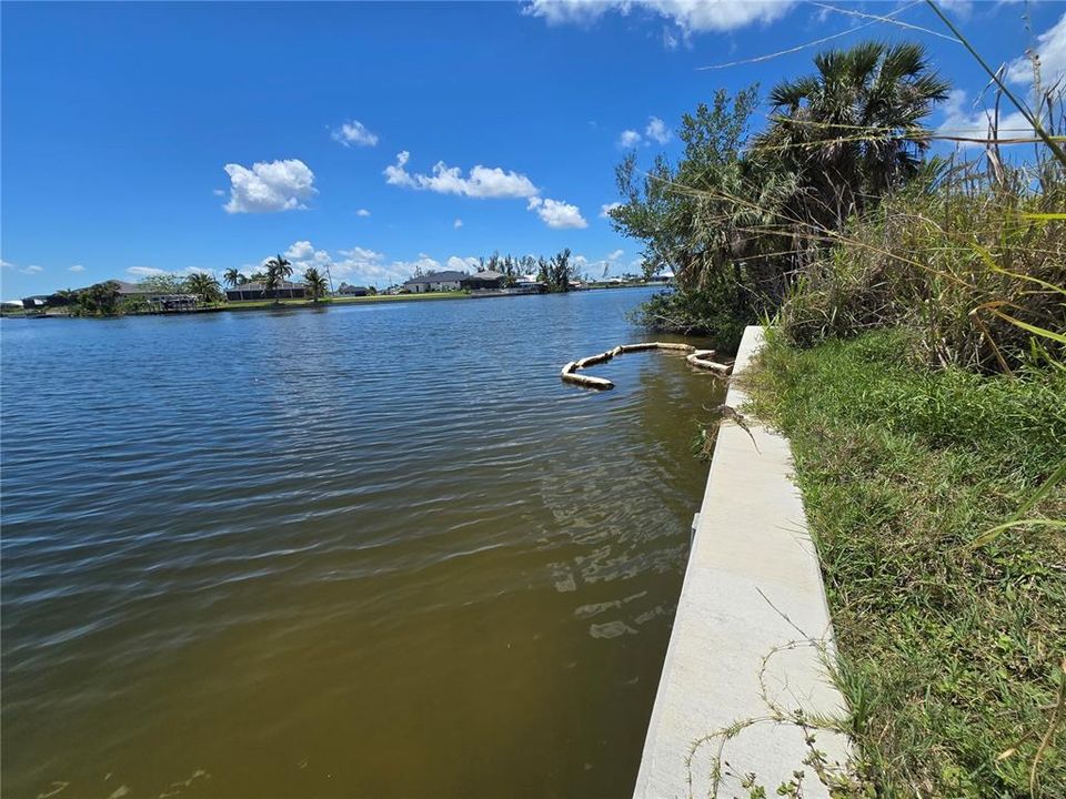 合同活跃: $244,900 (0.23 acres)