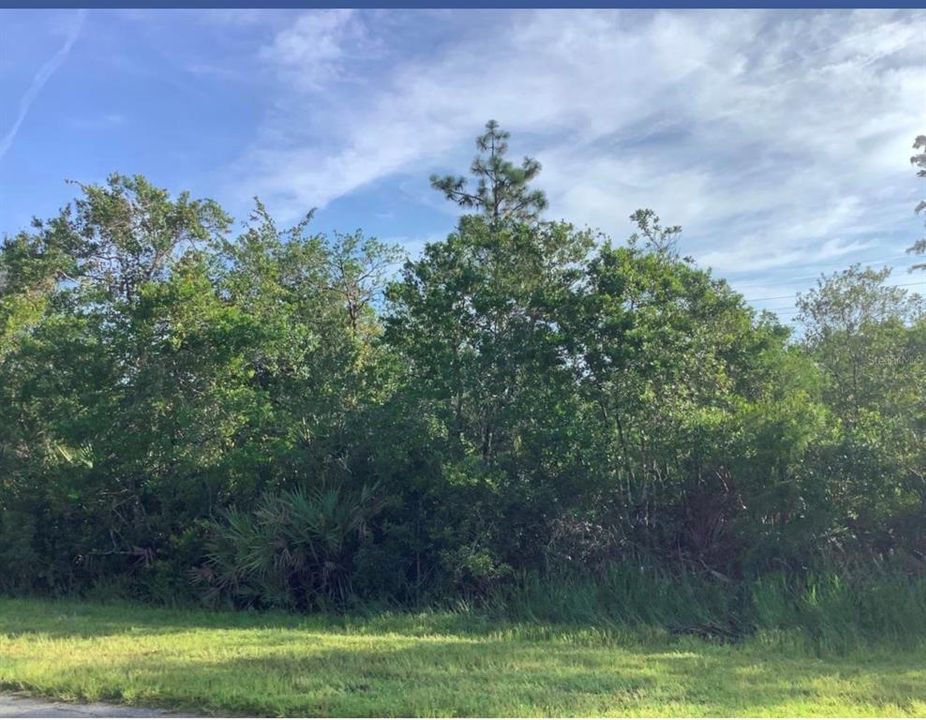 На продажу: $98,000 (1.05 acres)