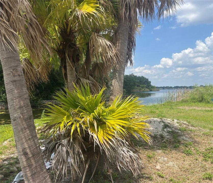 На продажу: $599,000 (0.99 acres)