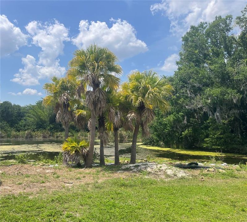 На продажу: $599,000 (0.99 acres)