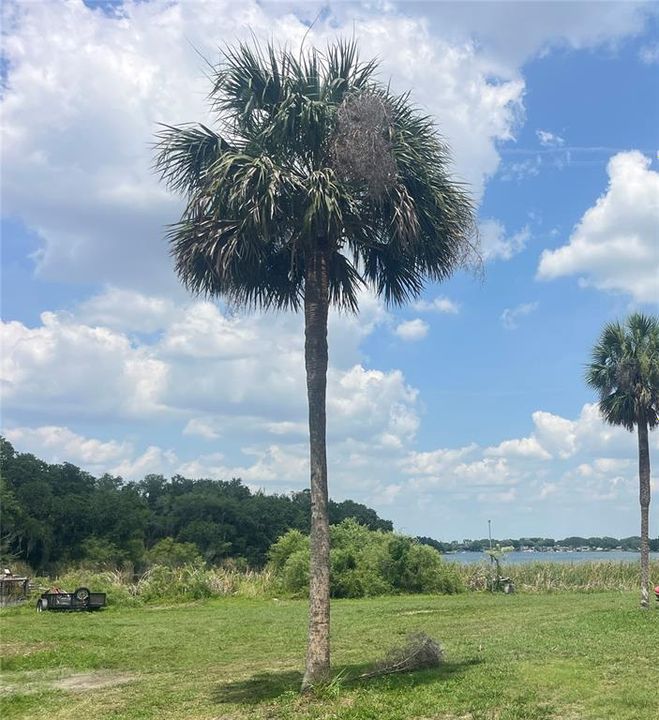 На продажу: $599,000 (0.99 acres)