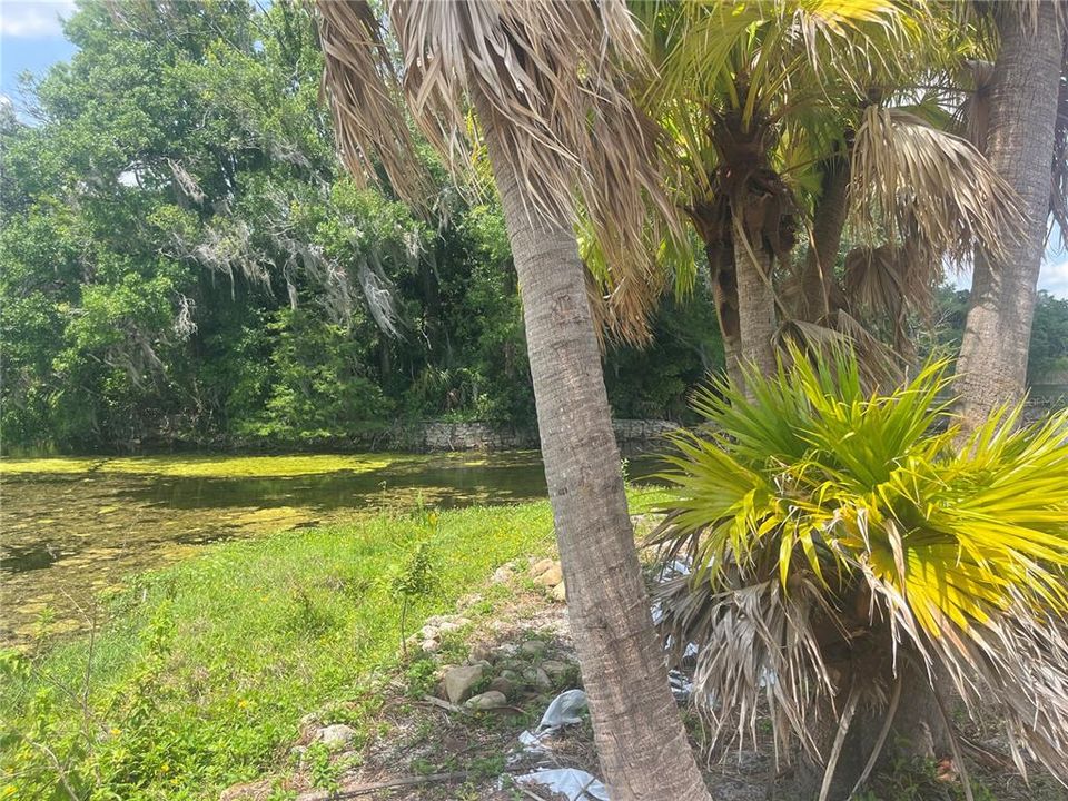 На продажу: $599,000 (0.99 acres)