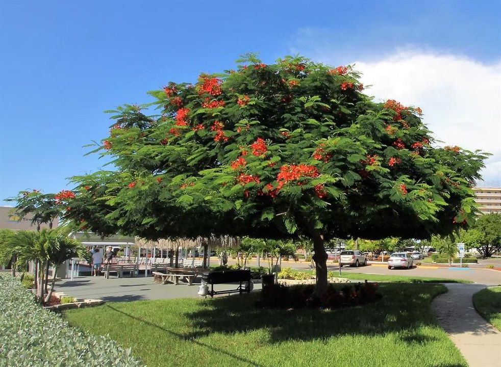 На продажу: $380,000 (2 спален, 2 ванн, 1250 Квадратных фут)