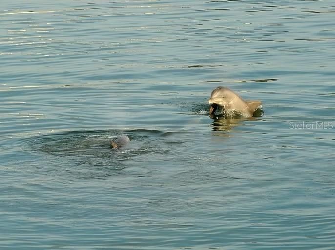 На продажу: $380,000 (2 спален, 2 ванн, 1250 Квадратных фут)