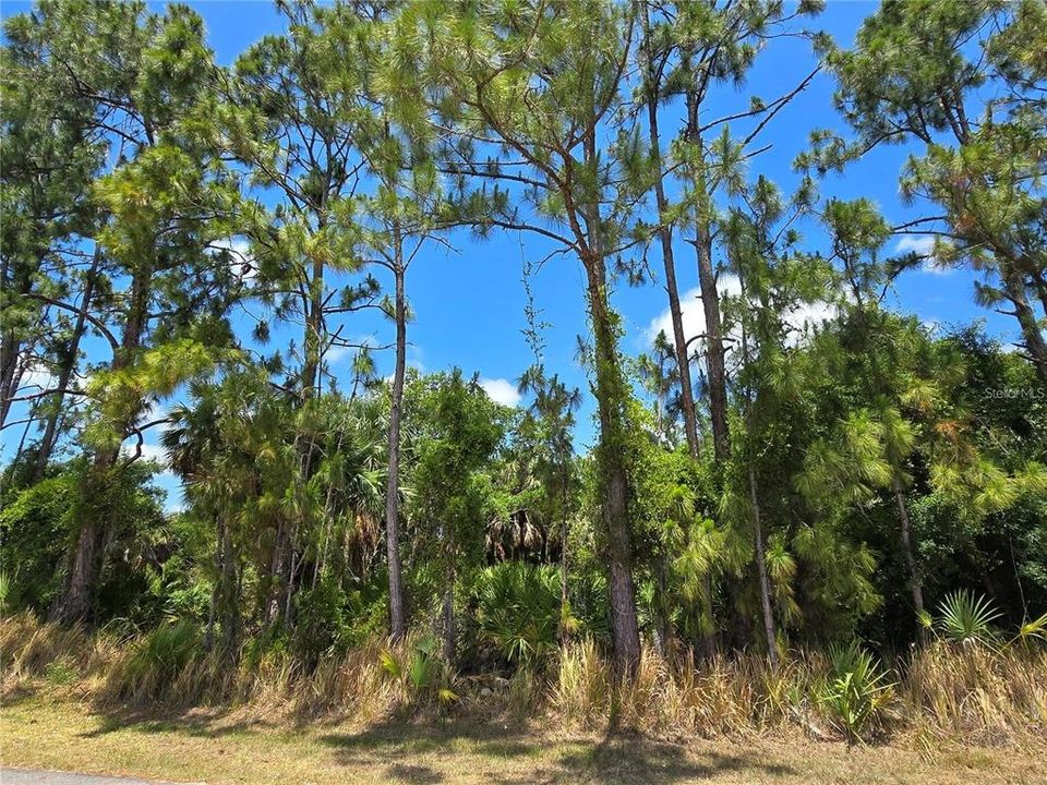 На продажу: $74,900 (0.69 acres)