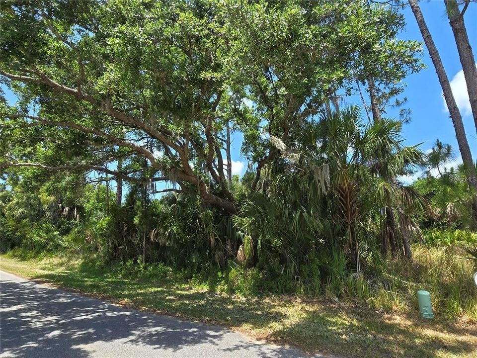 На продажу: $74,900 (0.69 acres)